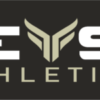 Beast Beach Volleyball logo