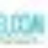 Club BeachDig Tampa logo