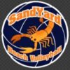 SandYard Volleyball logo