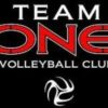 Team One Volleyball Club logo