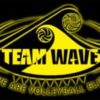 Team WAVE Elite logo