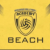 Wisconsin Volleyball Academy logo